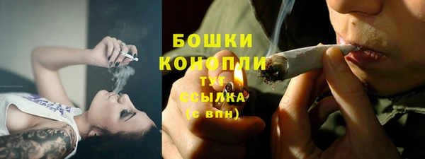 ешки Гусь-Хрустальный