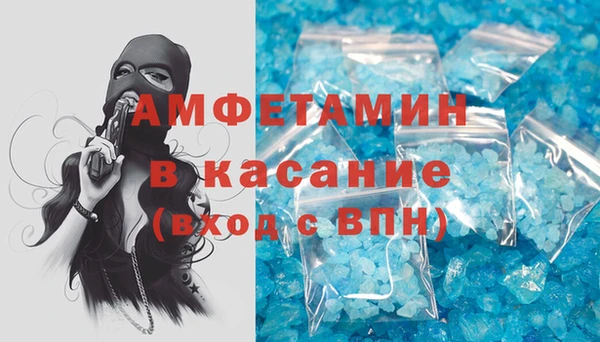амф Гусев